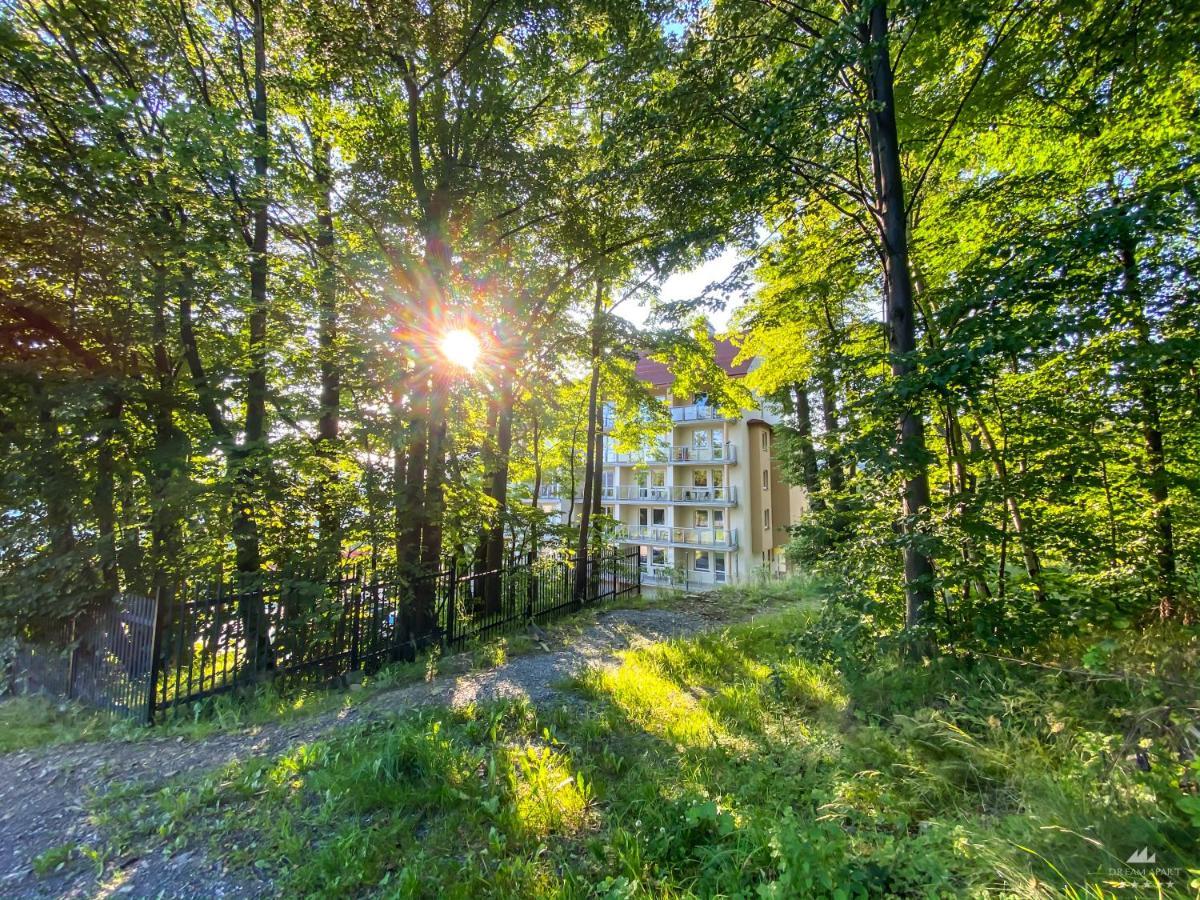 Apartamenty Kamienna Z Widokiem Na Gory I 2 Km Do Wyciagu Skolnity - Dream Apart 维斯拉 外观 照片